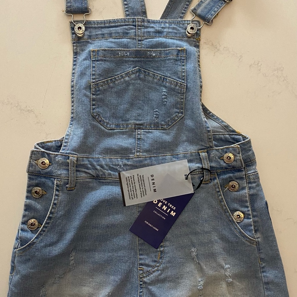 Blue Denim Overall shorts